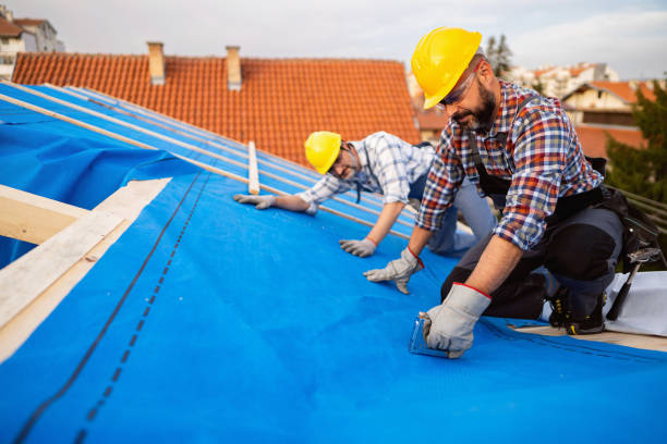Best Metal Roofing Contractor  in Arcadia, IN